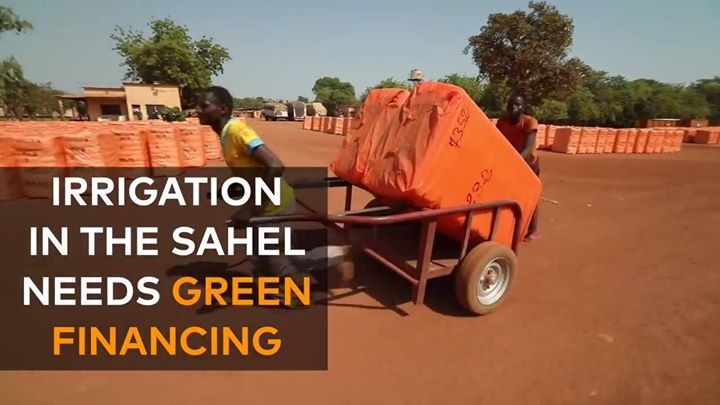 After an especially dry season in Burkina Faso, 33-year-old …