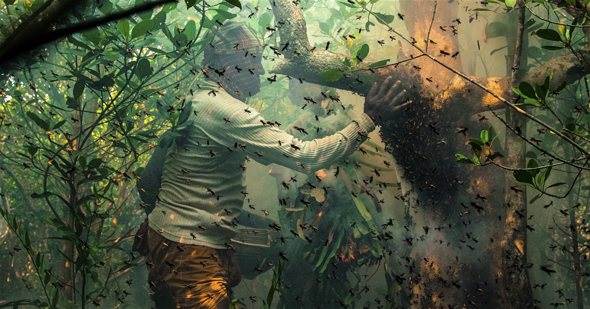 2017 CGAP Photo Contest by CGAP