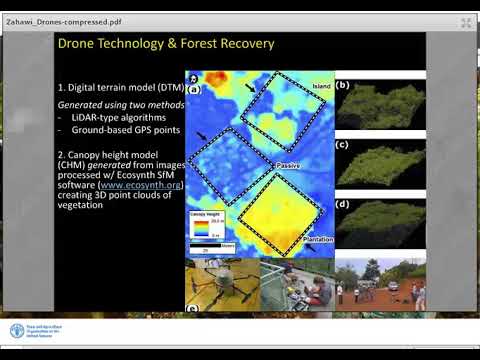 Using lightweight unmanned aerial vehicles to monitor tropical forest r…