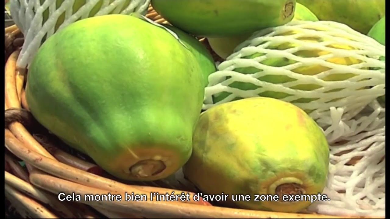 International Plant Protection Convention, 60th anniversary (French)