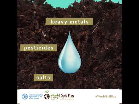 Soils are key to our supply of clean water