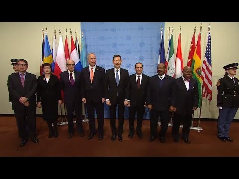 Flag Installation Ceremony – Security Council Media Stakeout (2 January 2018)