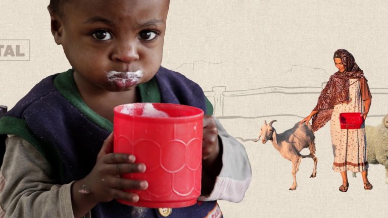 Global Programme for the Control & Eradication of Pest des petits rumin…