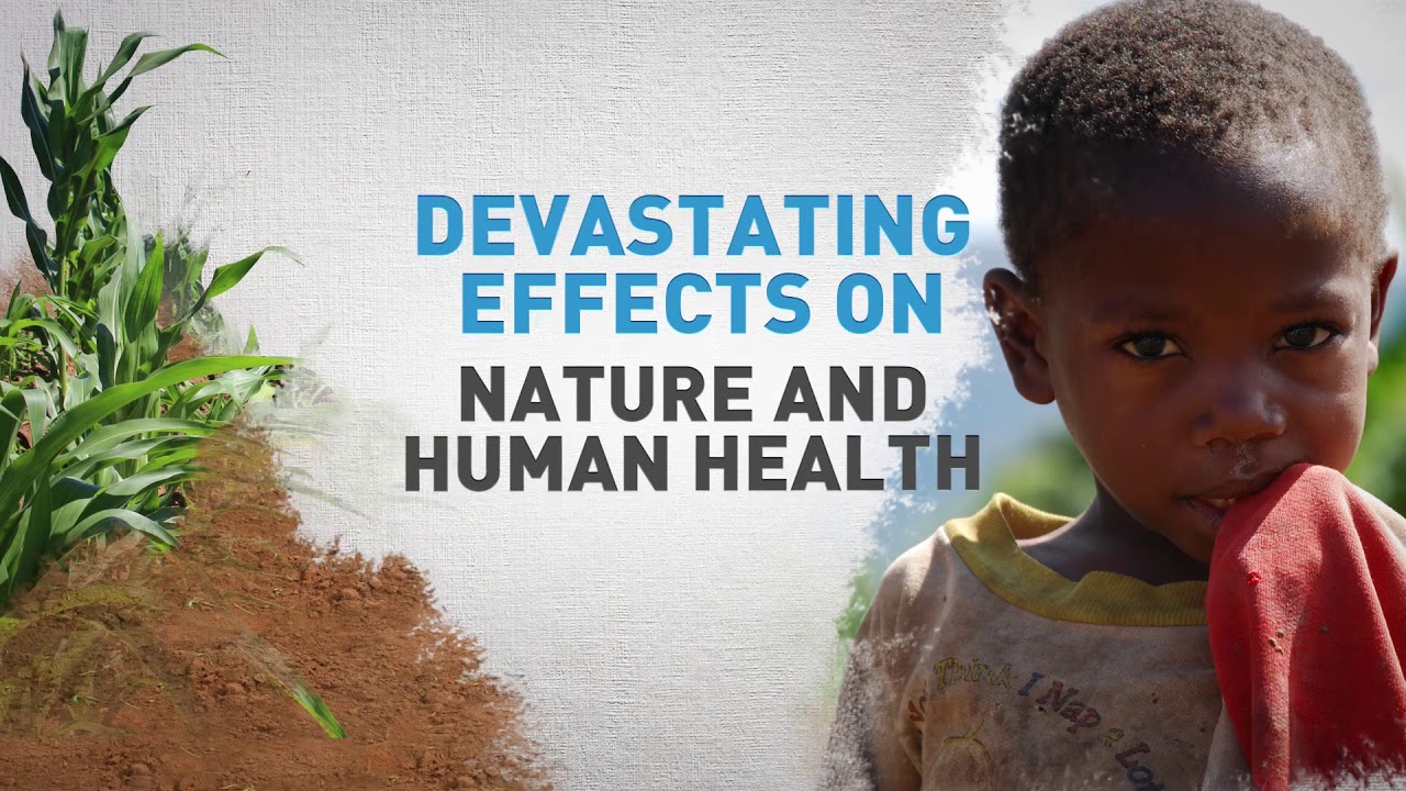 Programme of Action against the Fall Armyworm in Africa