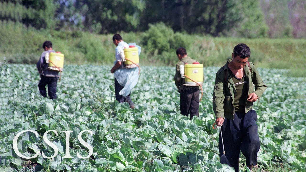 Social Inequality and the Russian Economy