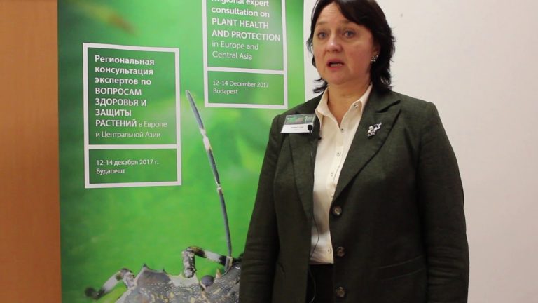 Interview with Svetlana Lungu — Regional expert consultation on plant …