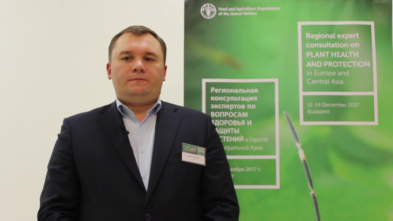 Interview with Andrii Chelombitko — Regional expert consultation on pl…