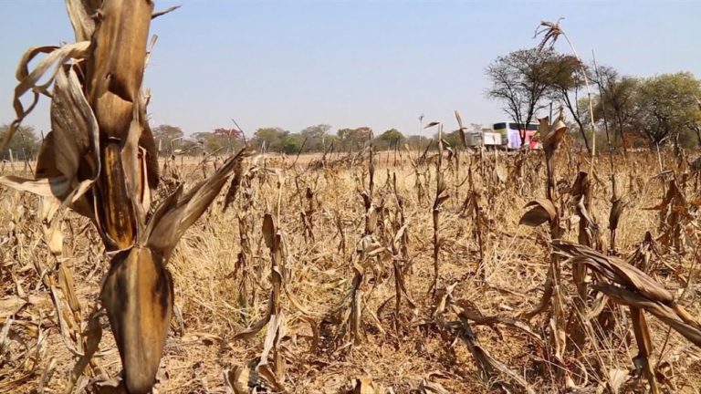 The Week in Review – 5 January 2018