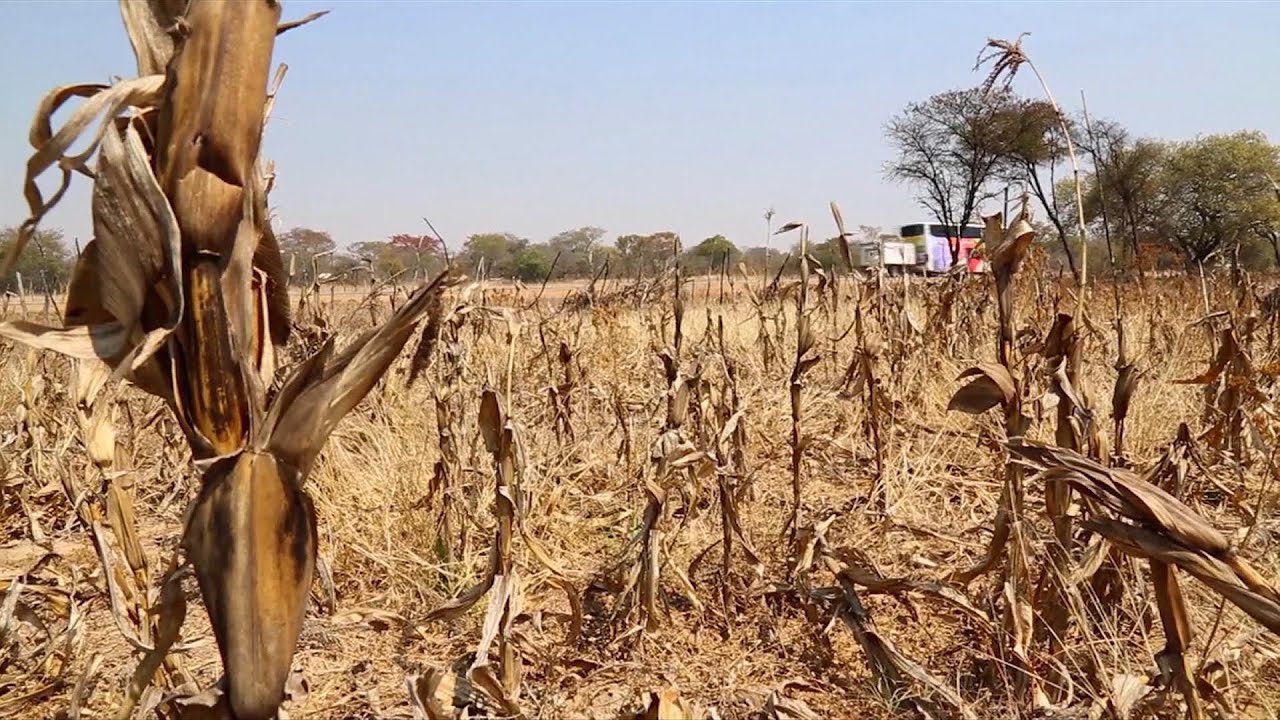 The Week in Review – 5 January 2018