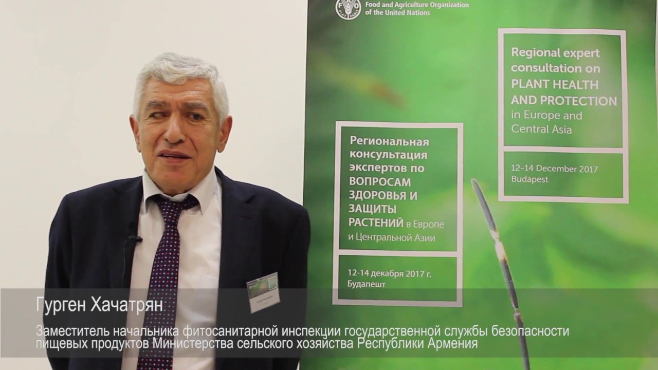 Interview with Gurgen Khachatryan — Regional expert consultation on pl…