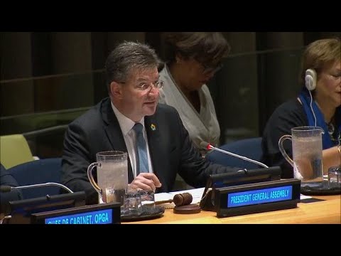 2018 Priorities for UN General Assembly