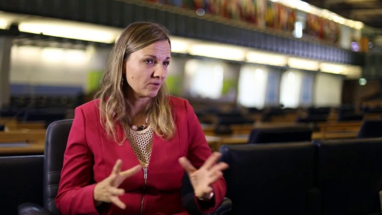 Clip  Addressing agriculture in NAPs Julia Wolf