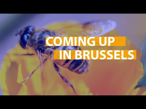 Coming up: Commemorating Holocaust, saving bees and more…