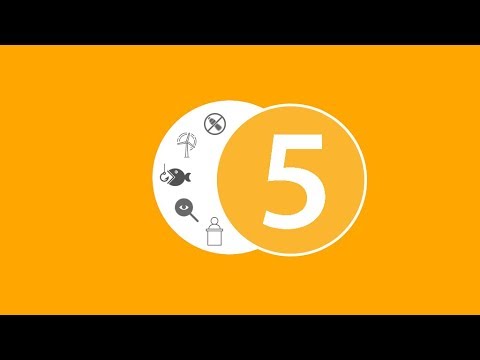 From plastics to electrical pulse fishing: 5 numbers from Strasbourg