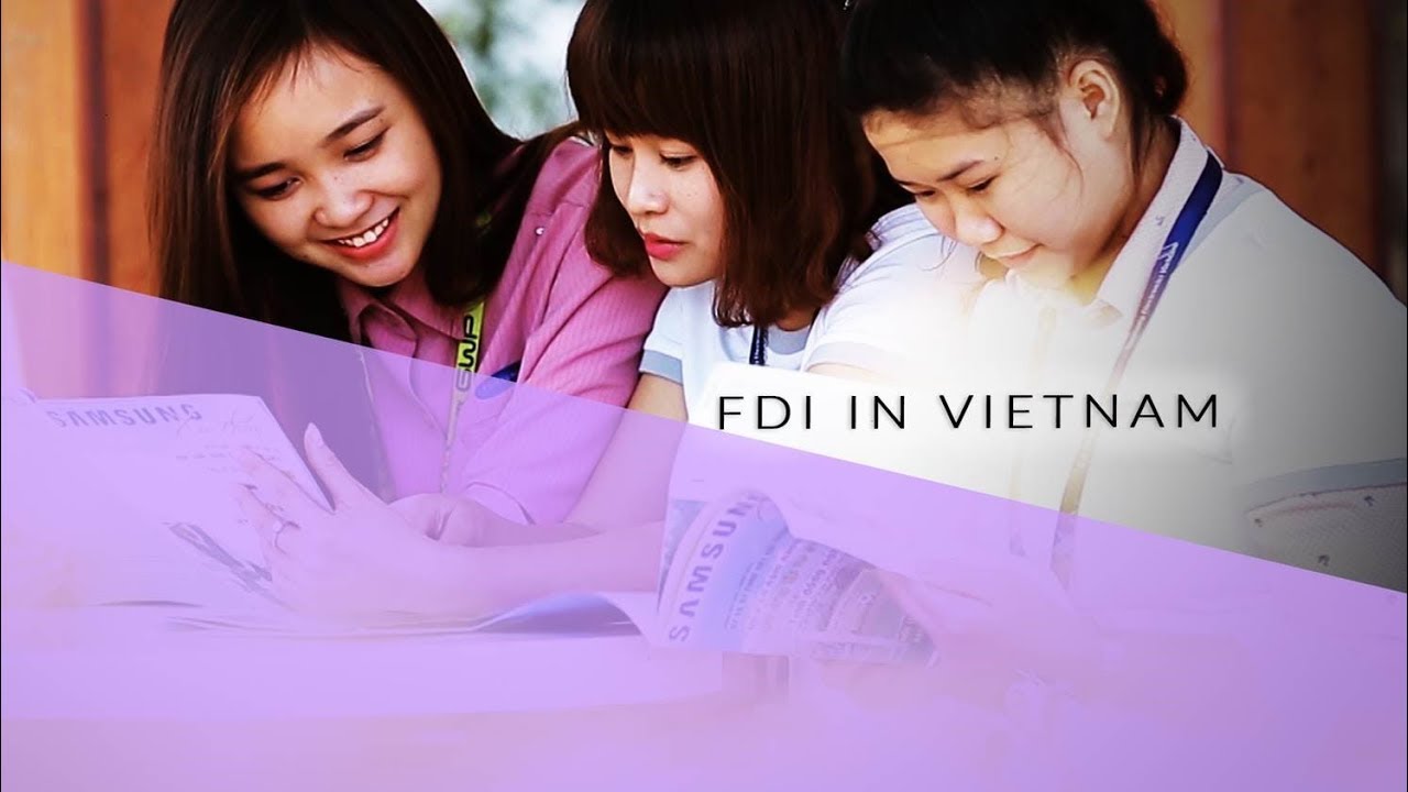 FDI in Vietnam