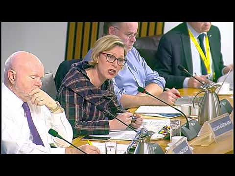 Economy, Jobs and Fair Work Committee – 23 January 2018