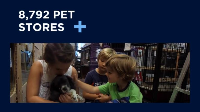 Economic Census: Pets