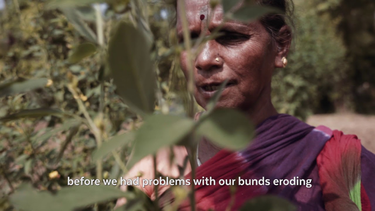 Using underutilized foods to improve livelihoods and nutrition in India