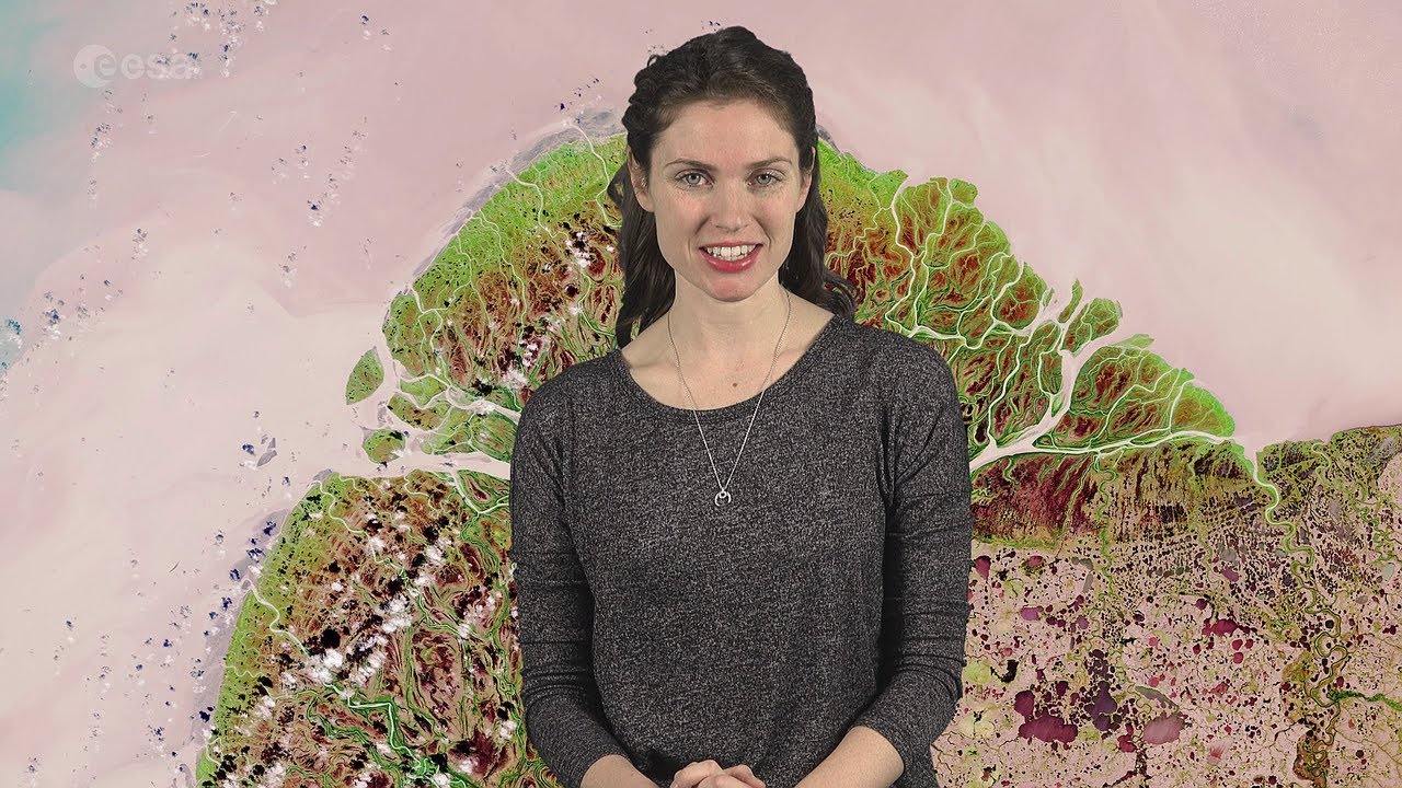 Earth from Space: Yukon Delta