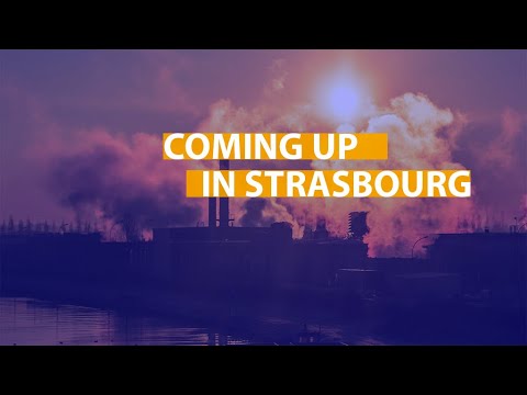 From geoblocking, to reducing emissions and a committee on pesticides