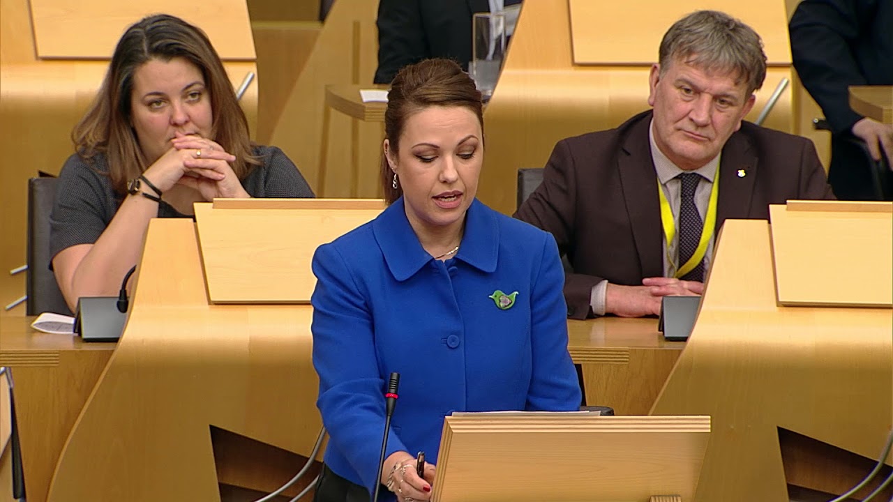 Members’ Business: Adverse Childhood Experiences – 24 January 2018