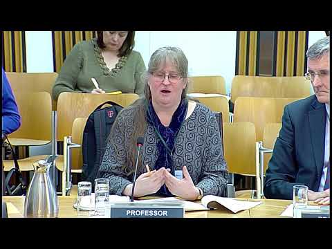 Finance and Constitution Committee – 31 January 2018