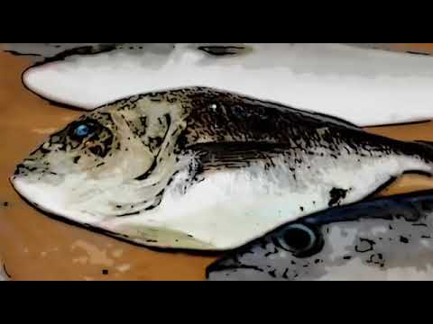 Codex and the food we eat (50th anniversary video)