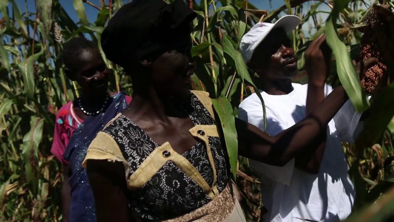 Supporting self-sufficiency in South Sudan – SM