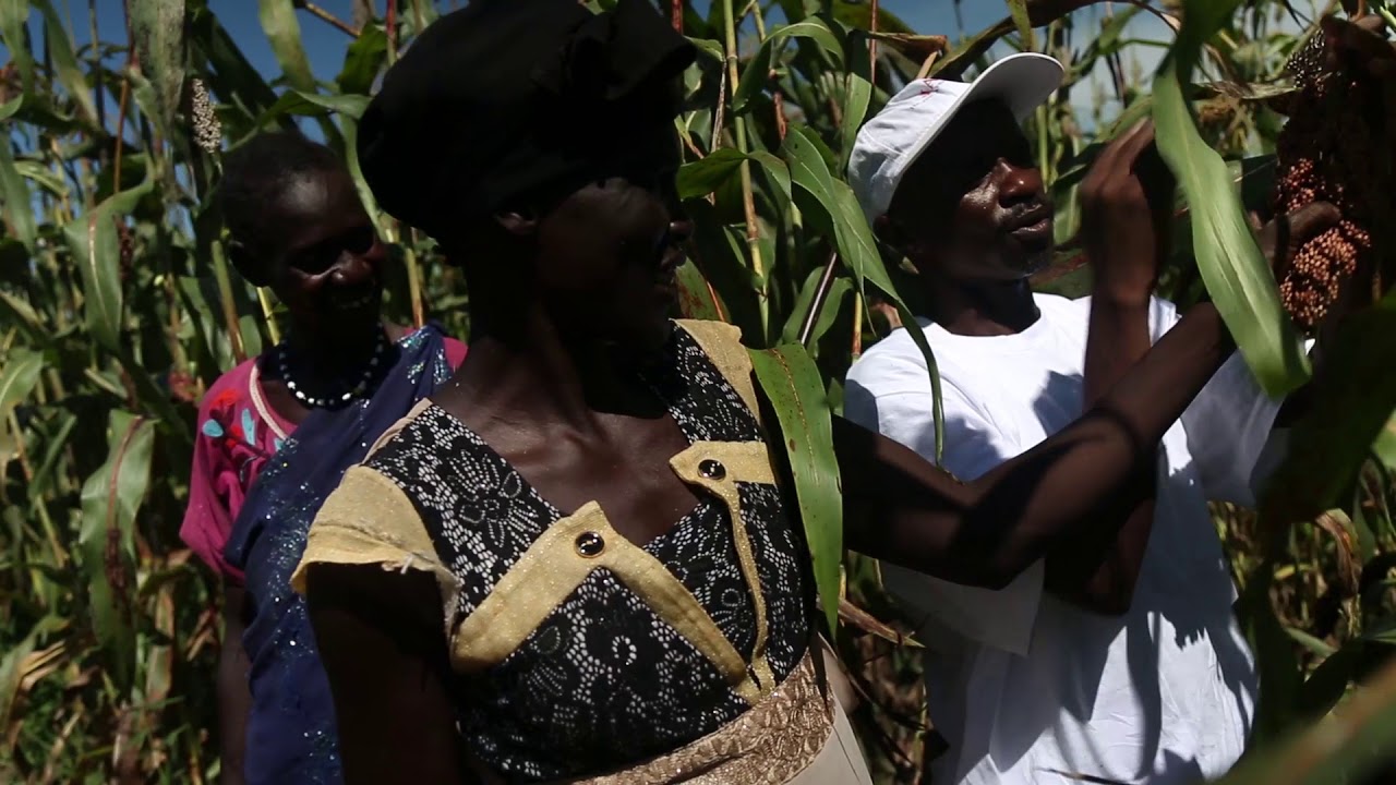 Supporting self-sufficiency in South Sudan – SM