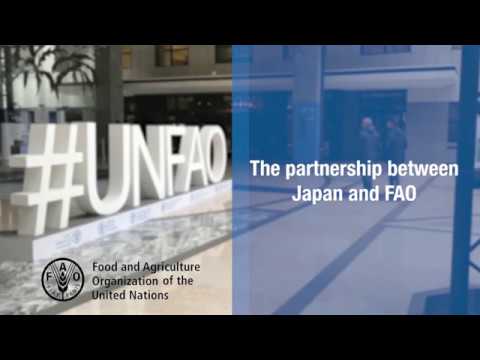 The FAO-Japan Partnership: Interview with Mr. Hiroto Mitsugi