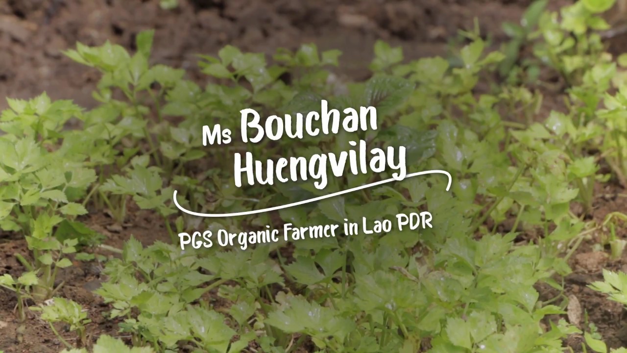 Participatory Guarantee Systems (PGS) in Lao PDR (v13)