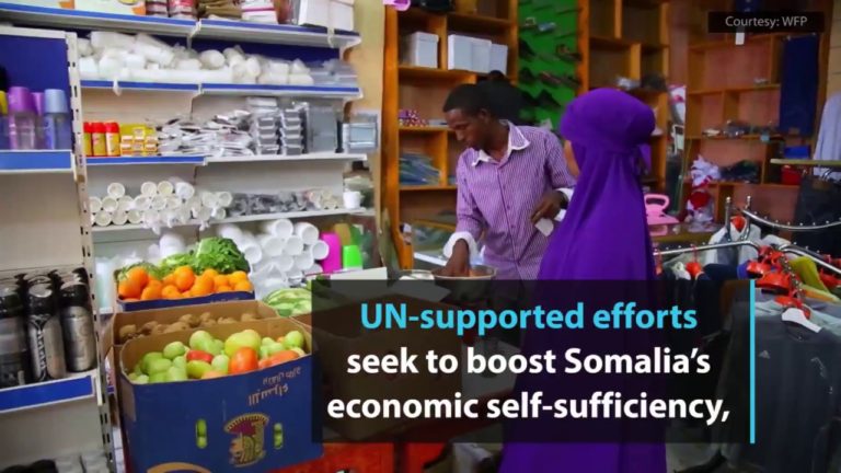 Efforts underway to help vulnerable Somalis