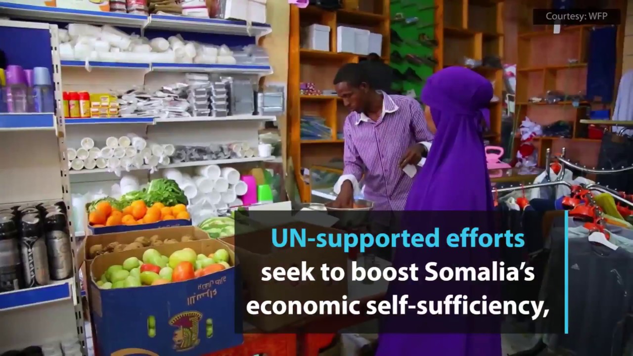 Efforts underway to help vulnerable Somalis