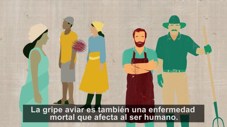 Ciencias nucleares para controlar la gripe aviar