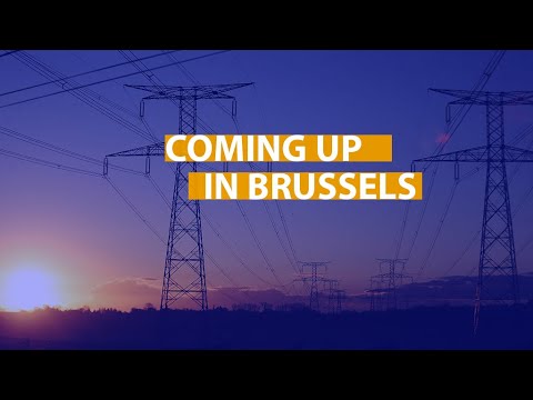 Coming up in Brussels: MFF, animal testing and access to electricity