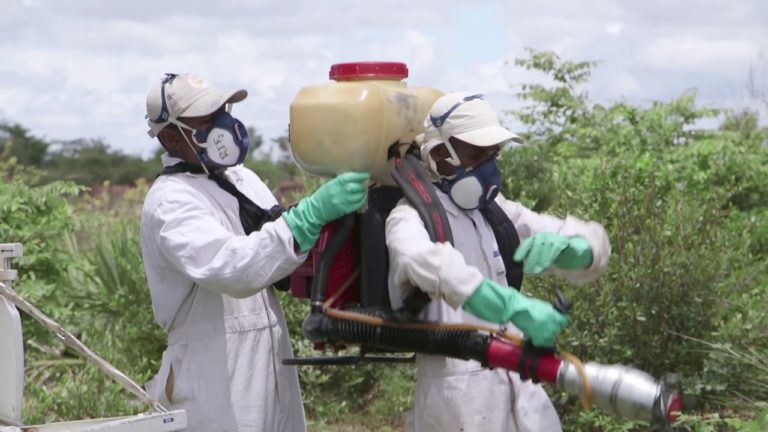 Lutte antiacridienne et biopesticides