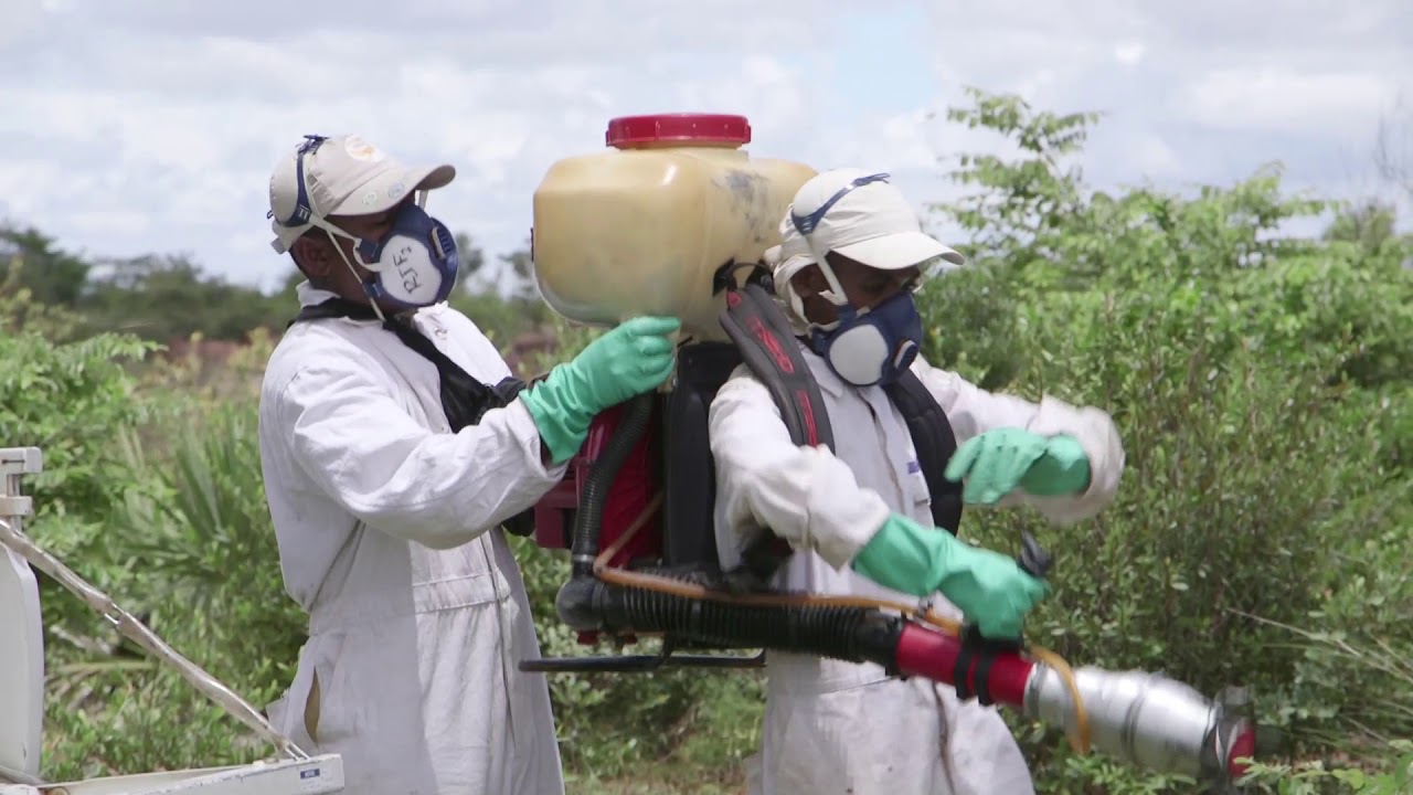 Lutte antiacridienne et biopesticides