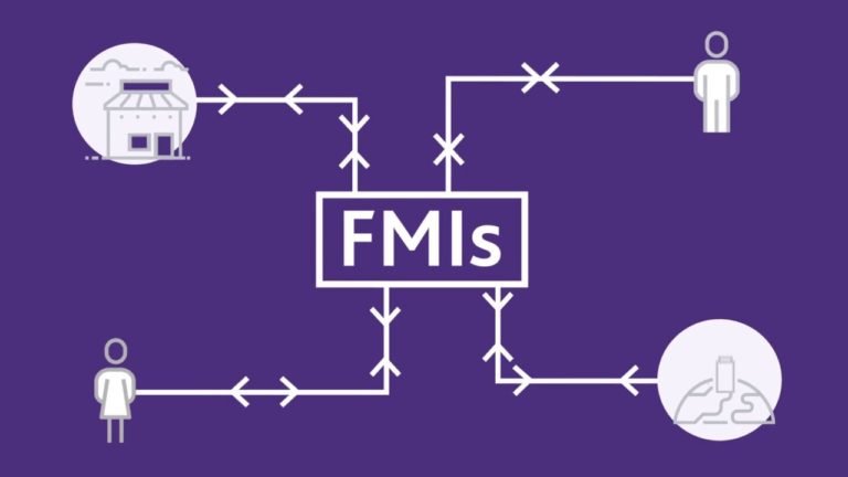 What are FMIs?