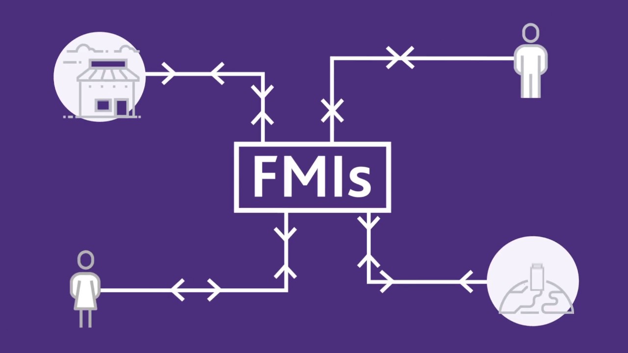 What are FMIs?
