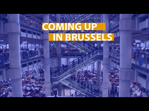 Coming up in Brussels: bees, taxation and terrorism