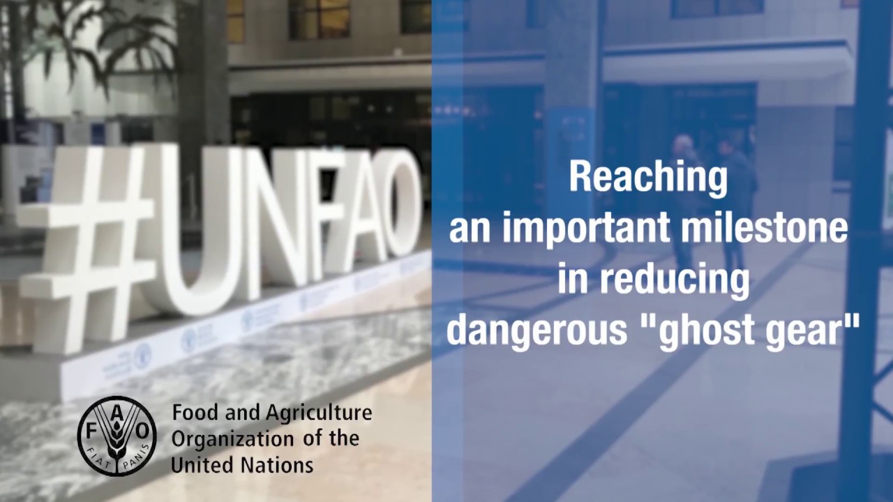 Countries agree on guidelines to mark and trace fishing gear.