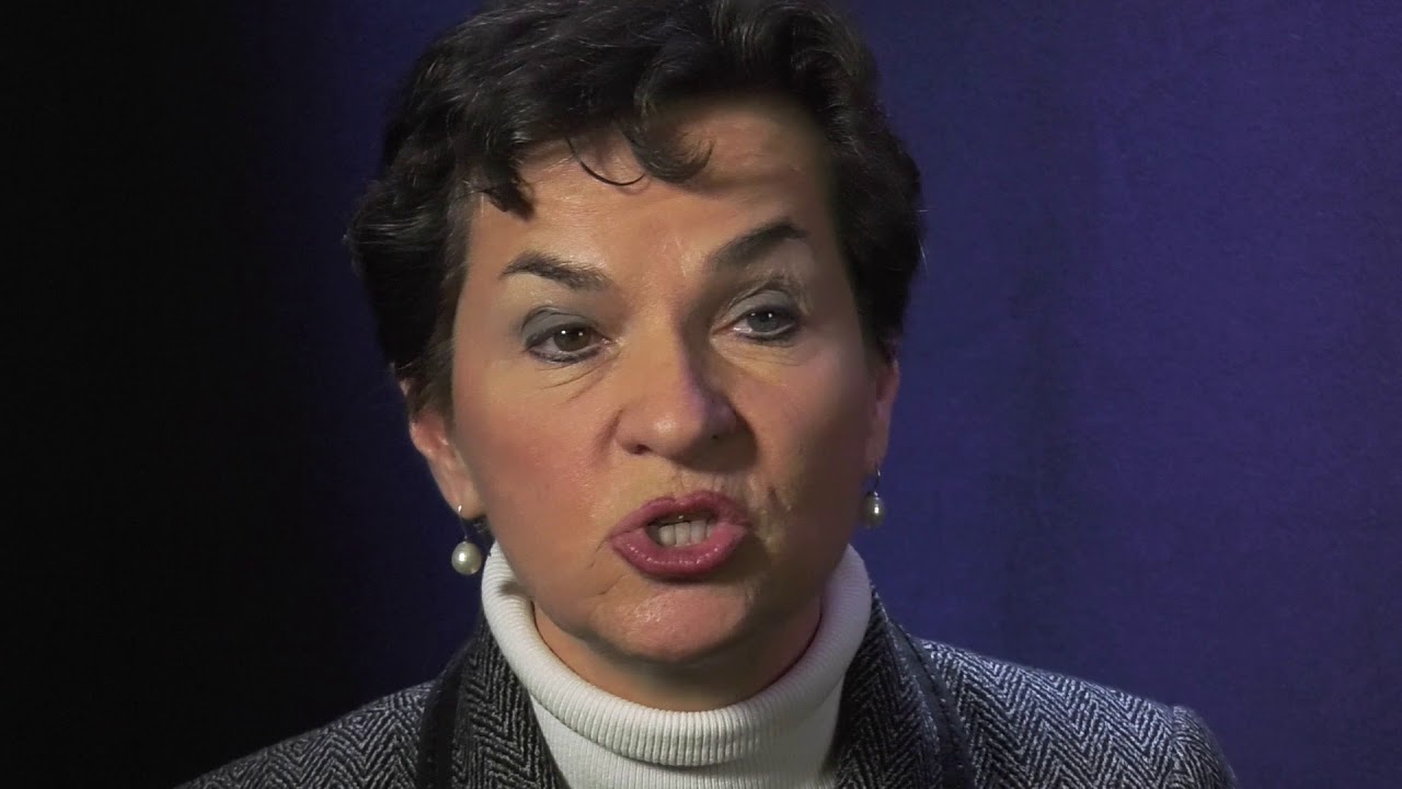 Halting deforestation: Concrete measures in the Paris Agreement