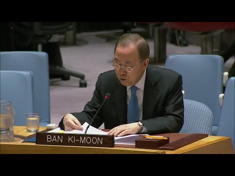 Purposes and Principles of the UN Charter – Ban Ki-moon (Former UN Secretary-General)