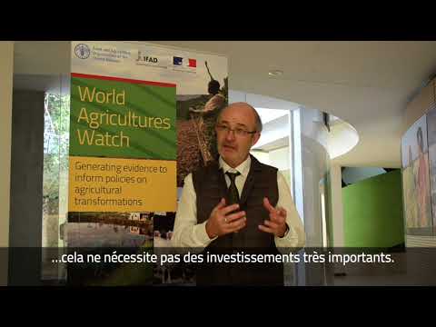 Interview with Pierre Marie Bosc, Coordinator of the World Agricultures…