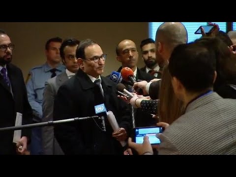 The Security Council President on the draft resolution on Syria – Media Stakeout (23 Feb 2018)