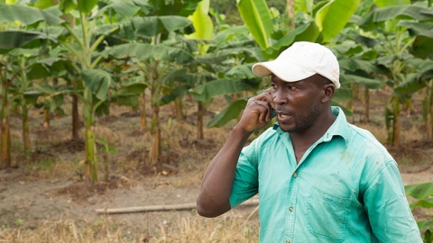 Why technology will disrupt and transform Africa’s agriculture sector—in a good way