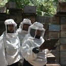 Public-Private Partnerships: Promoting gender equity and preventing gender-based violence in Egypt