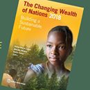 World Bank Report Finds Rise in Global Wealth, but Inequality Persists