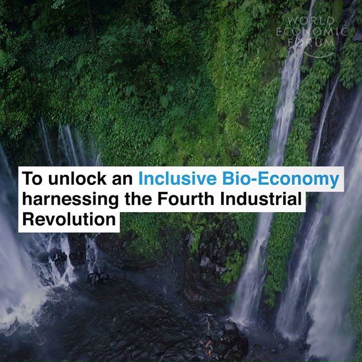 Experts estimate that deaths from Anti Microbial Resistance …