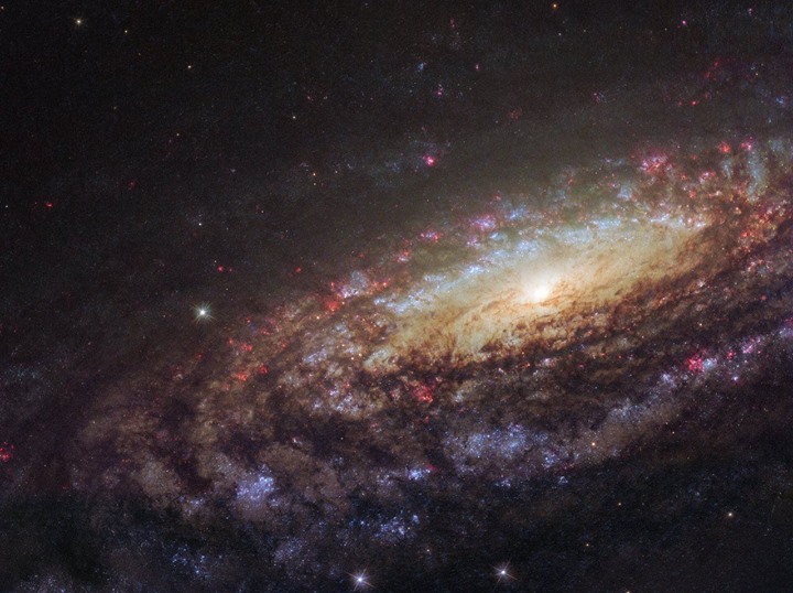 This edge-on view of a galaxy located about 45 million light…
